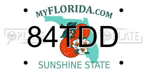 84TDD Florida License Plate