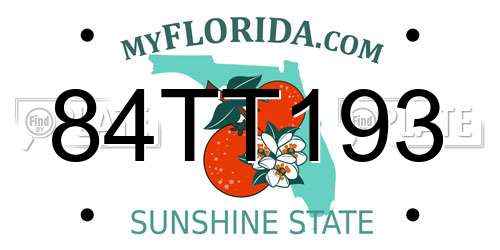 84TT193 Florida License Plate