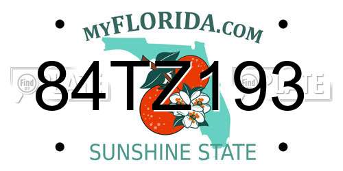 84TZ193 Florida License Plate