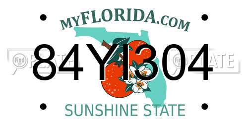 84YI304 Florida License Plate