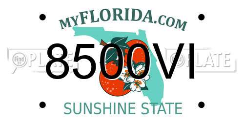 8500VI Florida License Plate