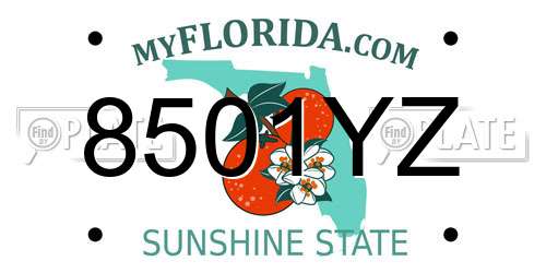 8501YZ Florida License Plate