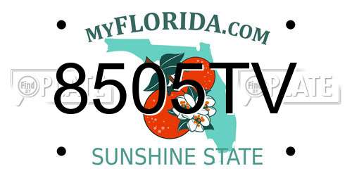 8505TV Florida License Plate