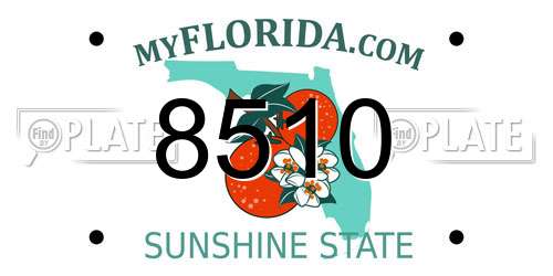 8510 Florida License Plate