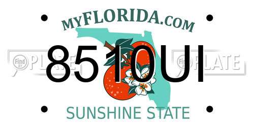 8510UI Florida License Plate