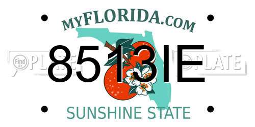 8513IE Florida License Plate