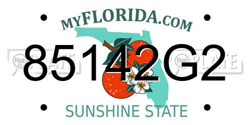 85142G2 Florida License Plate
