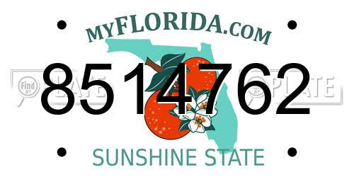 8514762 Florida License Plate