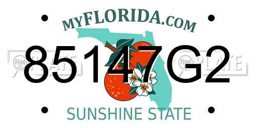 85147G2 Florida License Plate