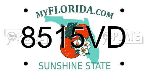 8515VD Florida License Plate