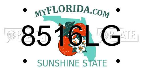 8516LG Florida License Plate