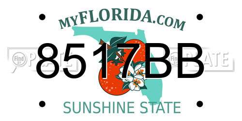 8517BB Florida License Plate