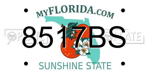 8517BS Florida License Plate