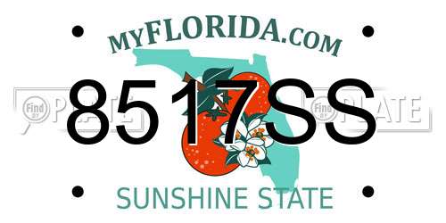 8517SS Florida License Plate