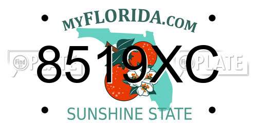 8519XC Florida License Plate