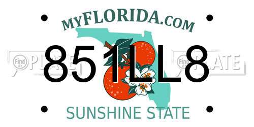 851LL8 Florida License Plate