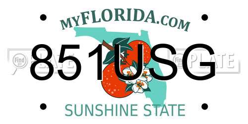 851USG Florida License Plate
