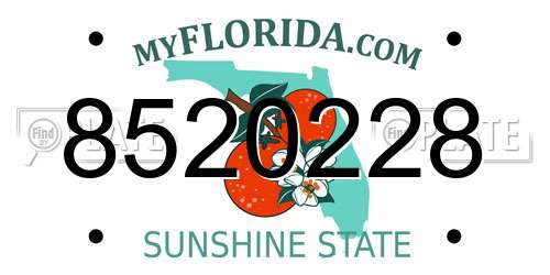 8520228 Florida License Plate