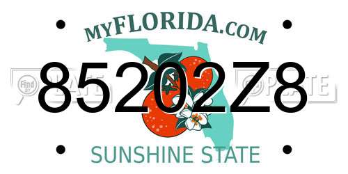 85202Z8 Florida License Plate