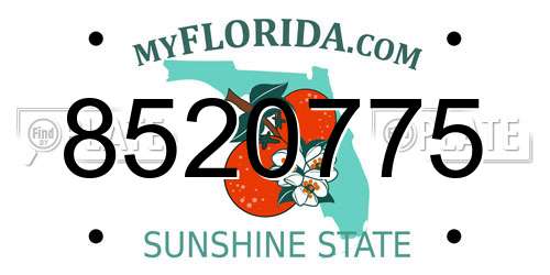 8520775 Florida License Plate