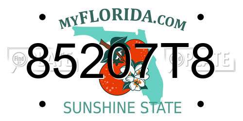 85207T8 Florida License Plate