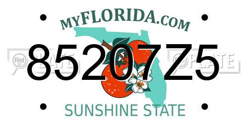 85207Z5 Florida License Plate