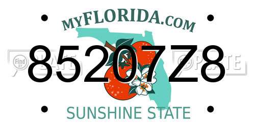 85207Z8 Florida License Plate