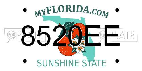 8520EE Florida License Plate