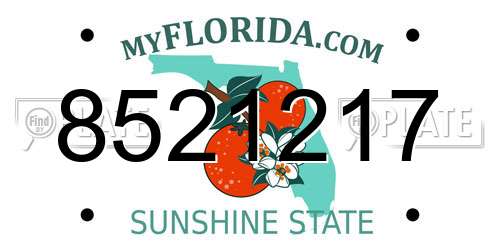 8521217 Florida License Plate