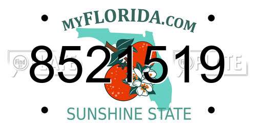 8521519 Florida License Plate