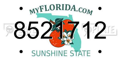 8521712 Florida License Plate