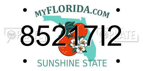 85217I2 Florida License Plate