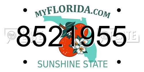 8521955 Florida License Plate