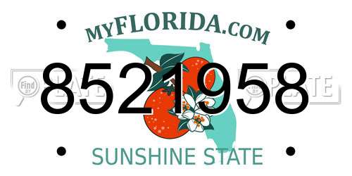8521958 Florida License Plate