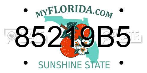 85219B5 Florida License Plate