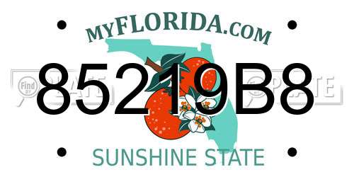 85219B8 Florida License Plate