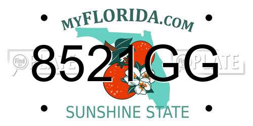 8521GG Florida License Plate