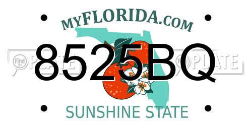 8525BQ Florida License Plate