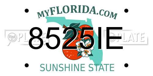 8525IE Florida License Plate
