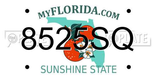 8525SQ Florida License Plate