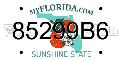 85299B6 Florida License Plate