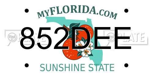 852DEE Florida License Plate
