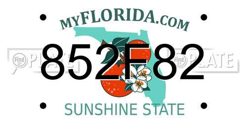 852F82 Florida License Plate