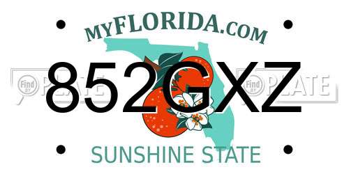 852GXZ Florida License Plate