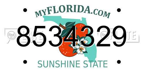 8534329 Florida License Plate