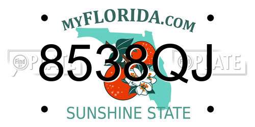 8538QJ Florida License Plate