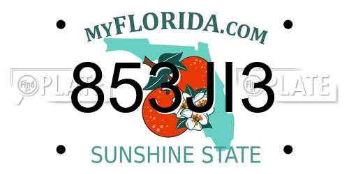 853JI3 Florida License Plate