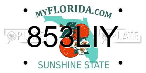 853LIY Florida License Plate