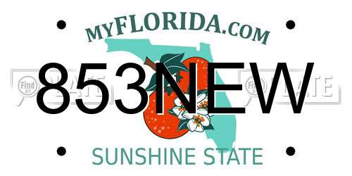 853NEW Florida License Plate