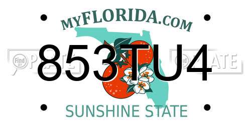 853TU4 Florida License Plate